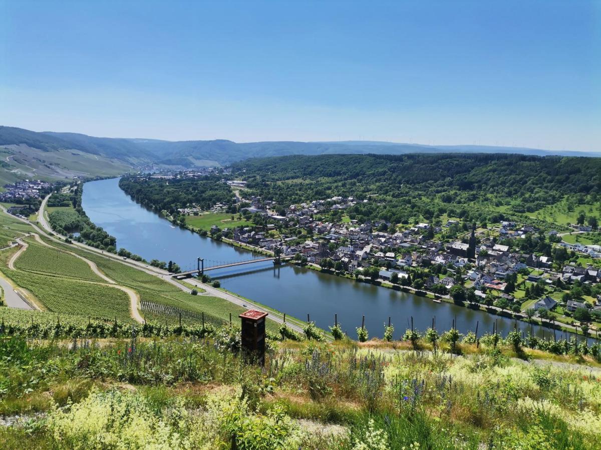 Sonnenufer Apartment & Moselwein I Bernkastel-Kues Luaran gambar